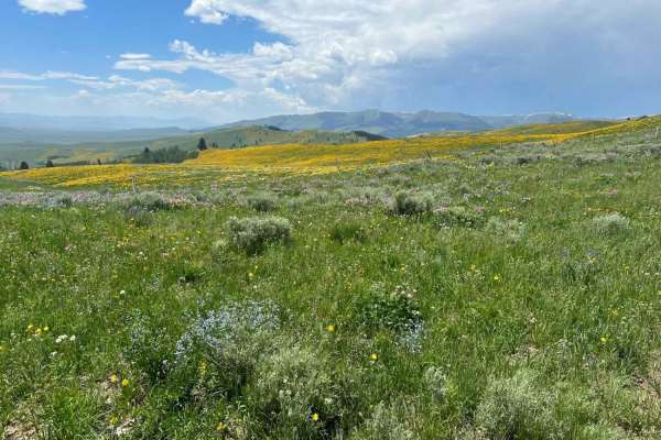 Eureka Basin Road (FS 347)