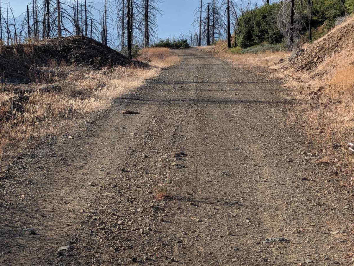 Dubakella Creek Road - FS 29N31 photo 5