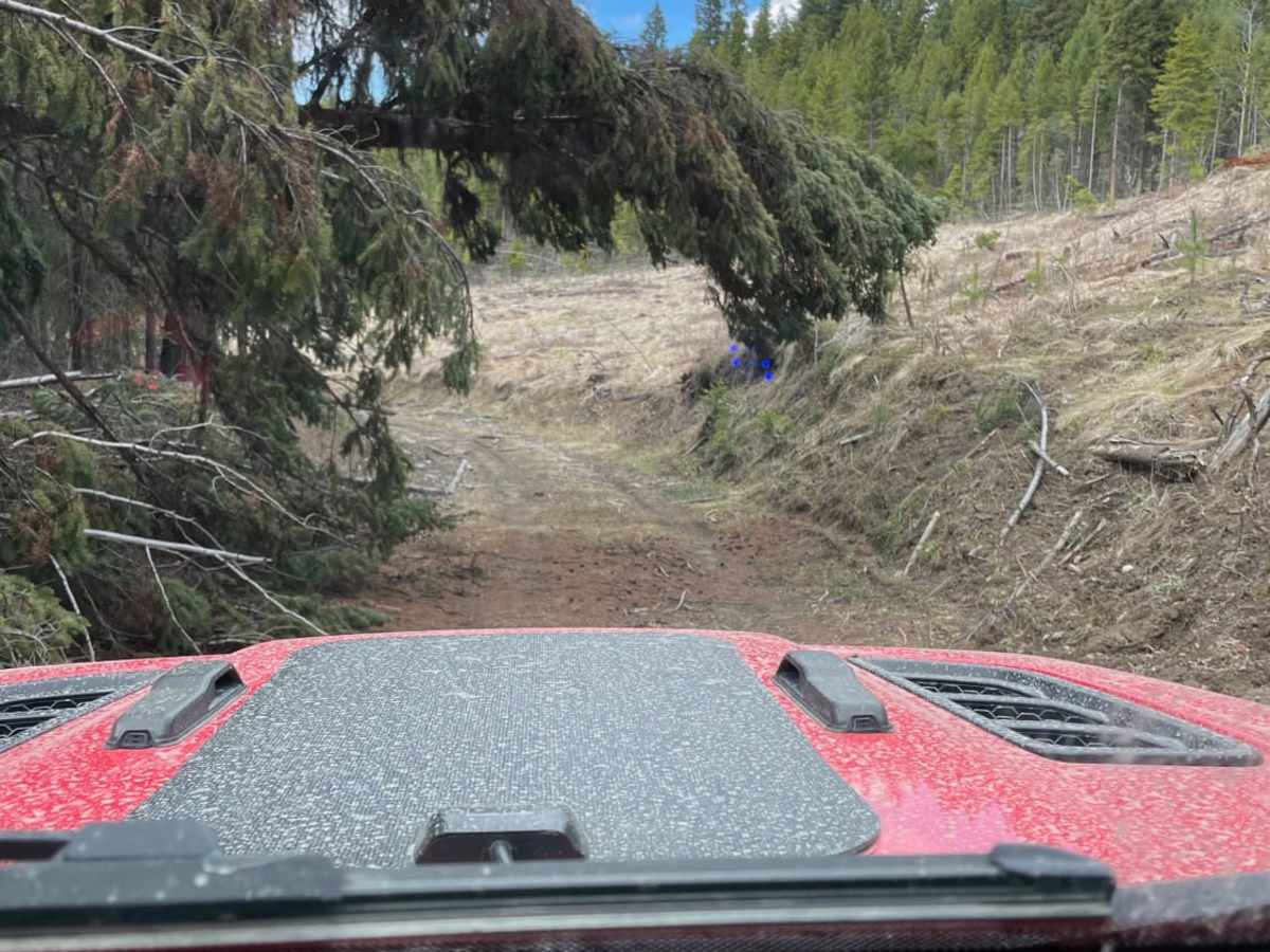 Range Road photo 3