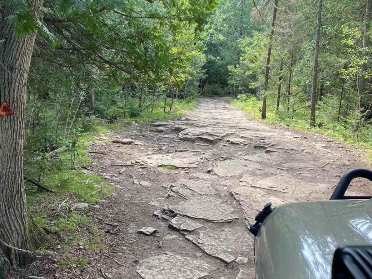 Walker Trail photo 6
