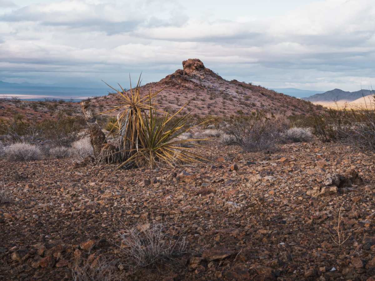 Old Woman Mountains Wilderness Pipeline Road photo 3