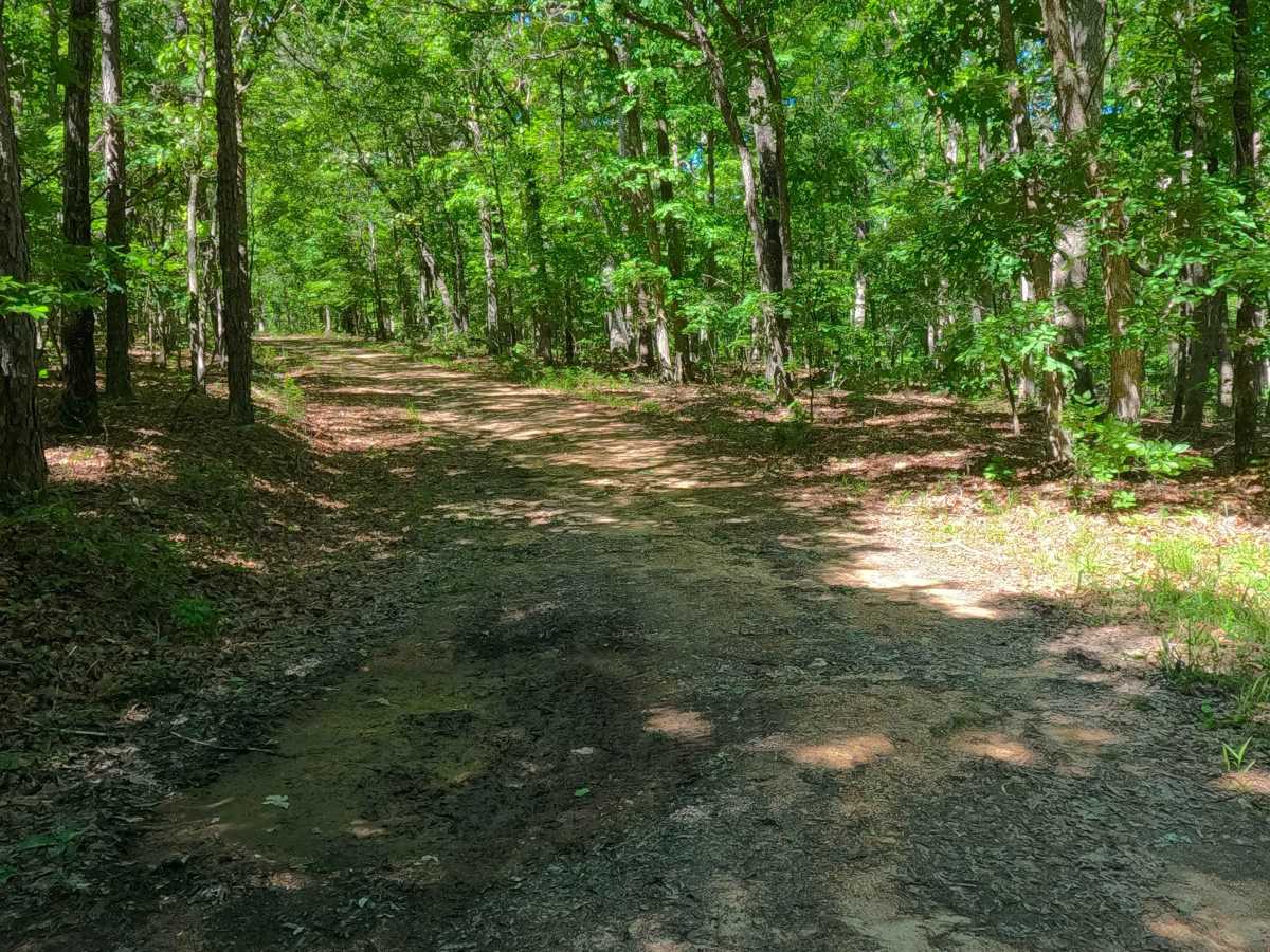 Grassy Hollow - FS 3714 photo 5