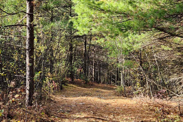 OHV 3 - Rock Run Recreation Area
