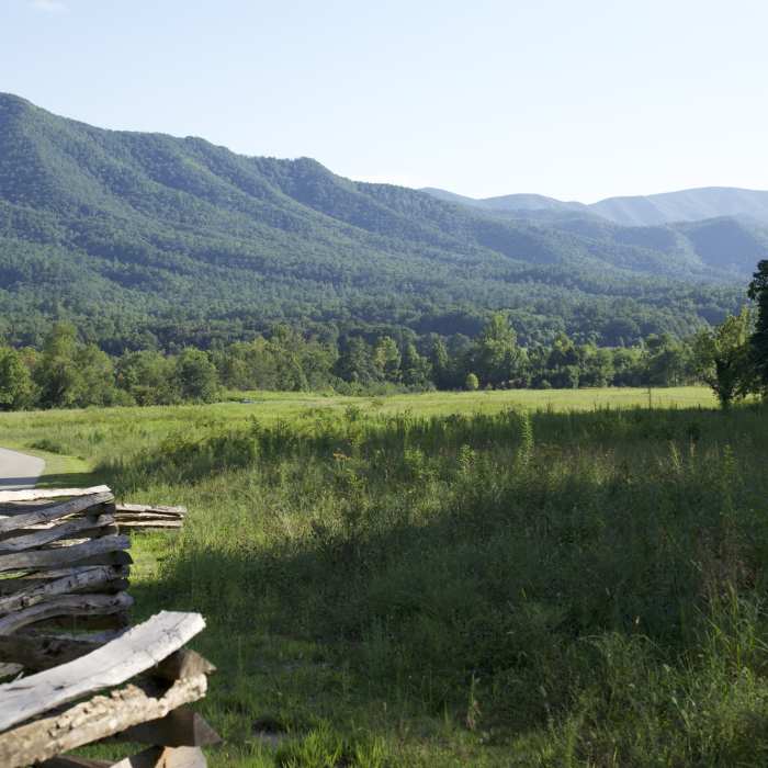 Near Rich Mountain Loop Trail
