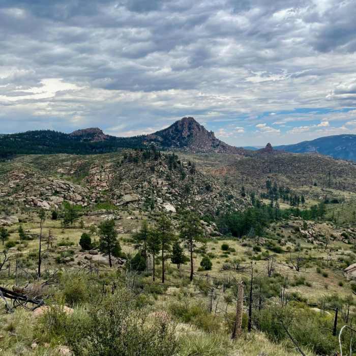 Near Colorado Trail Segment 2