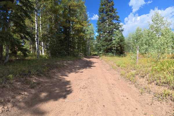 Ellison Mountain Road - FS 273