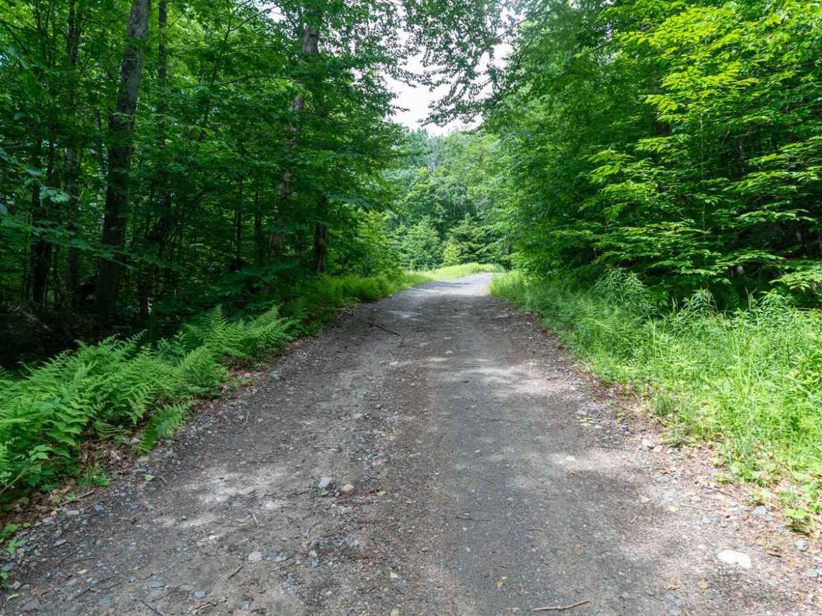 Woody's Road photo 4