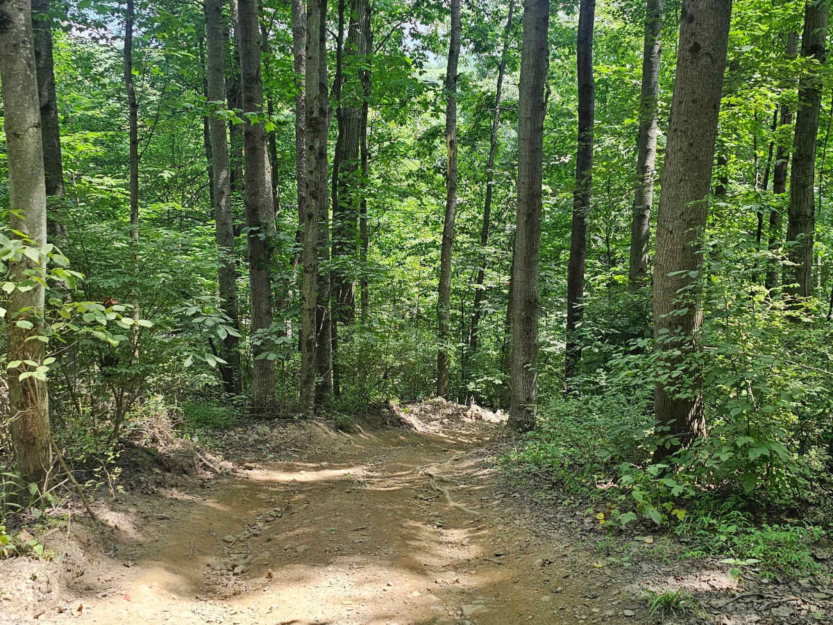 Trail 26 photo 3