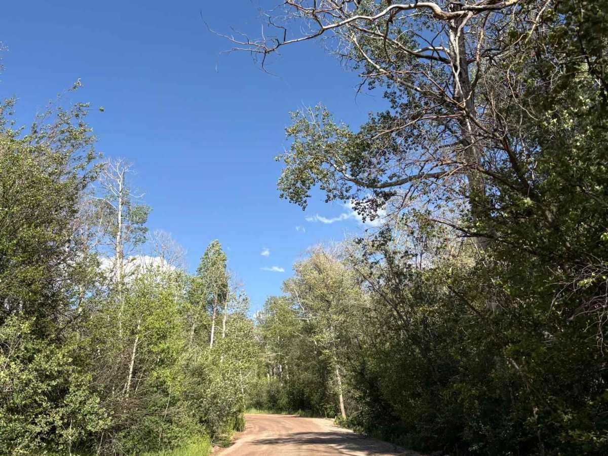East Brush Creek Road - Ingress photo 3