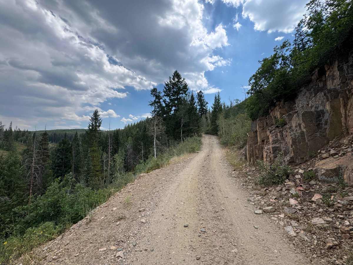 Bowes Mining Road - FS 471 photo 6
