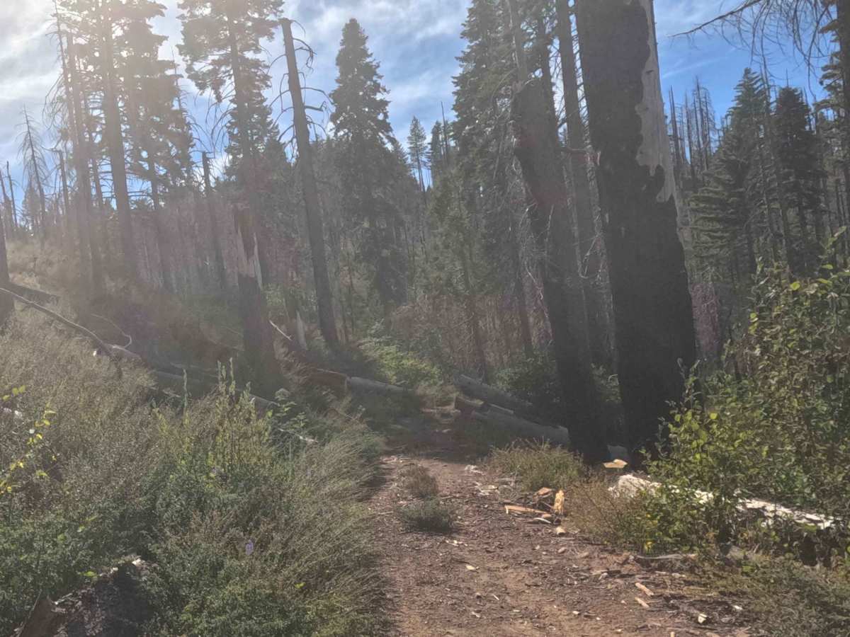Ten Mile Grade C Spur - FS 4S004C photo 5