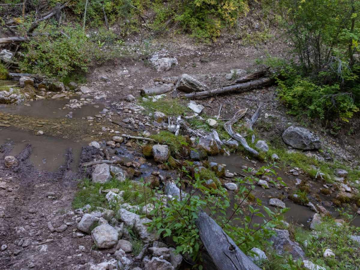 Olsen Canyon Road trail photo