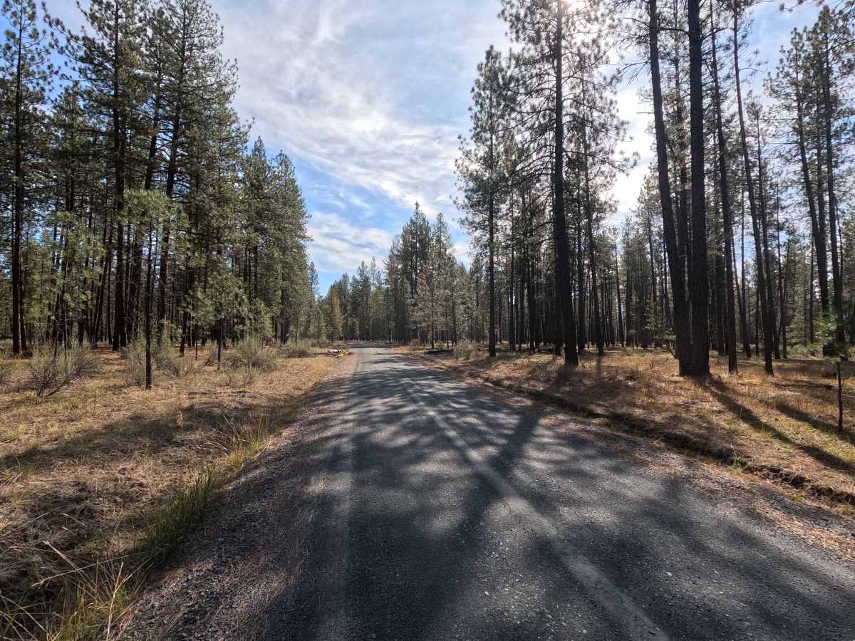 Starvation Flat Road photo 5