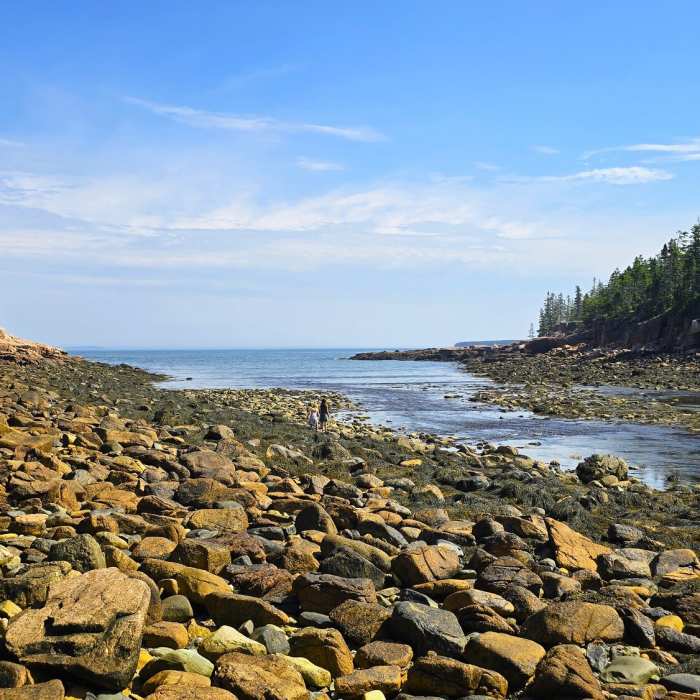 Ship Harbor Trail Near Ship Harbor Trail