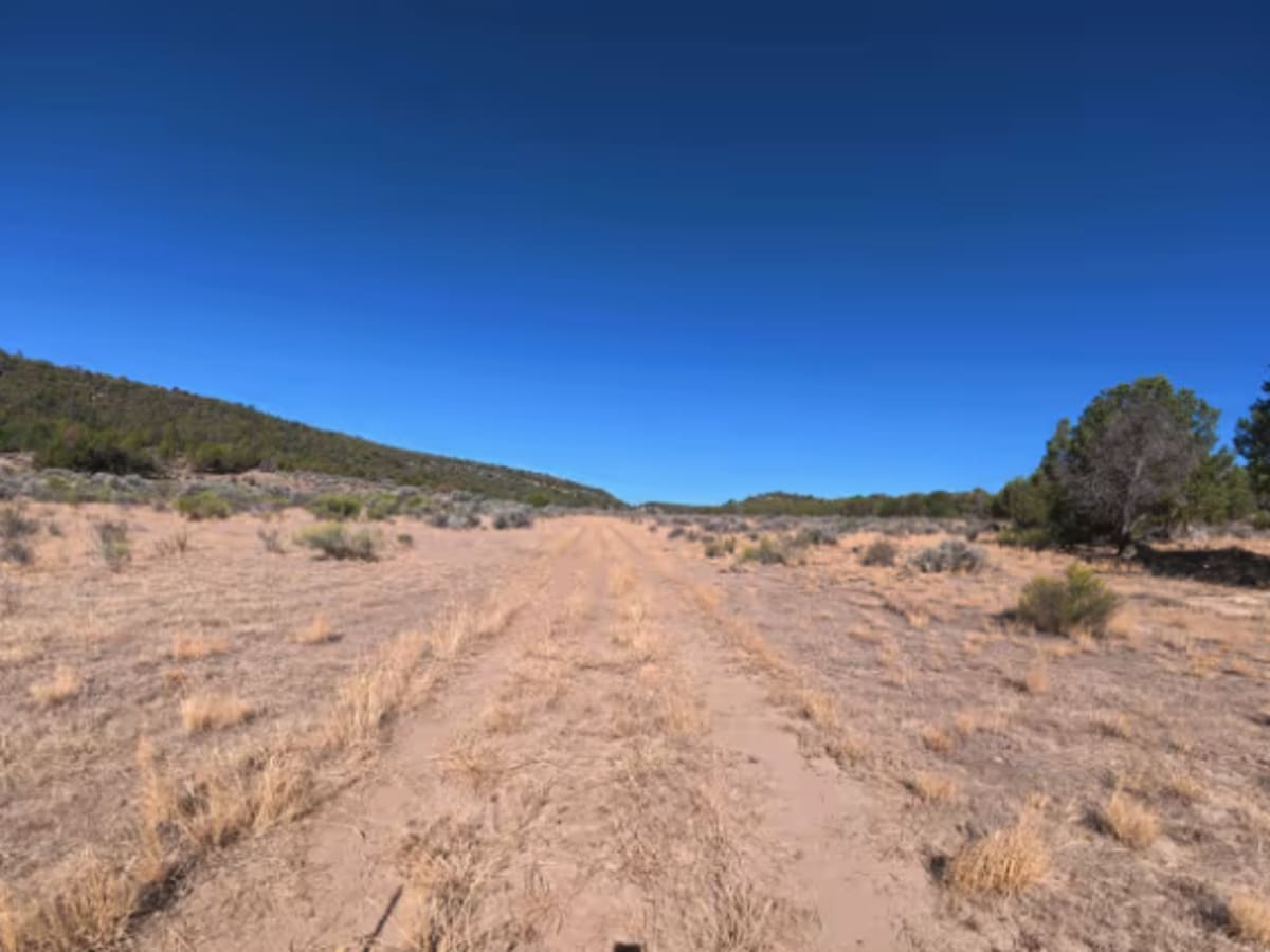 BLM 287A photo 5