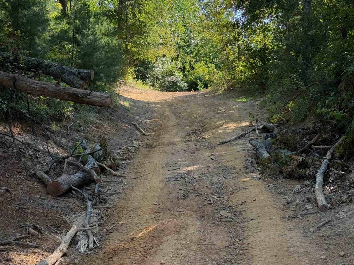 Louse Creek Trail 20  photo 4