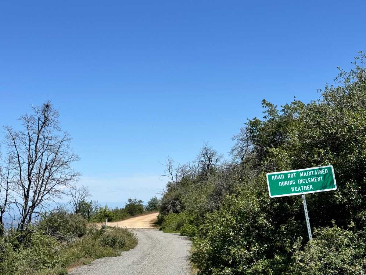 Road 307 trail photo