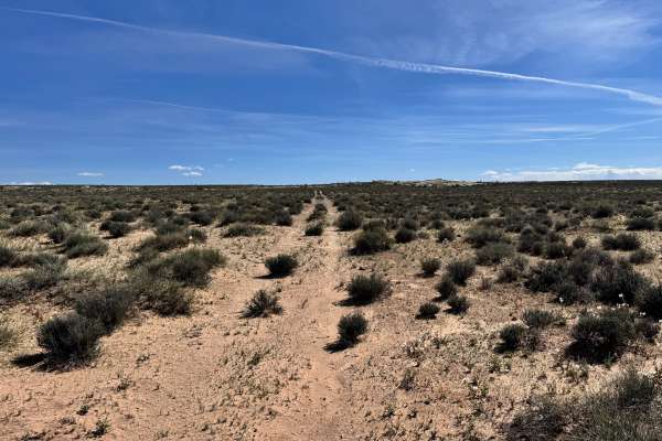 Orange Trail Overlook