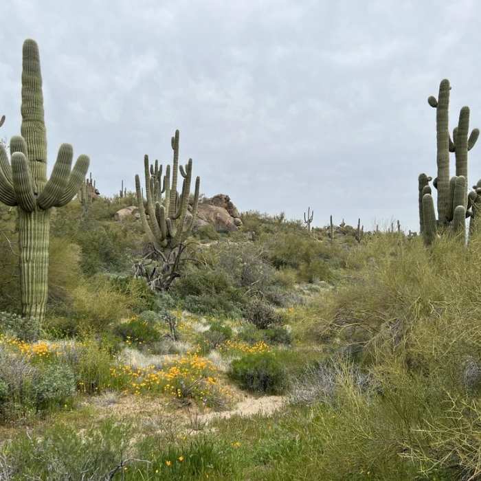Near Granite Mountain Loop