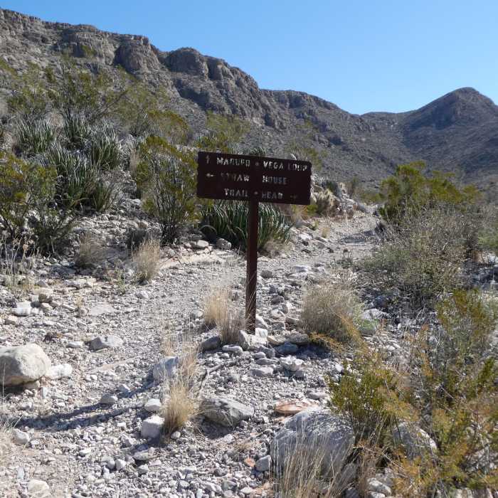 Near Lower Straw House Trail