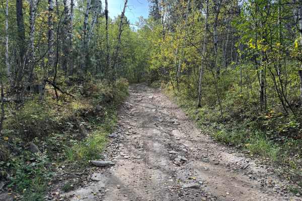 Marshall Gulch