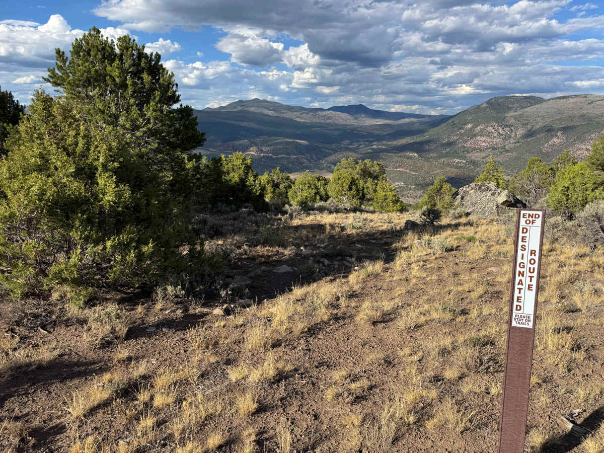 BLM 8536 photo 5