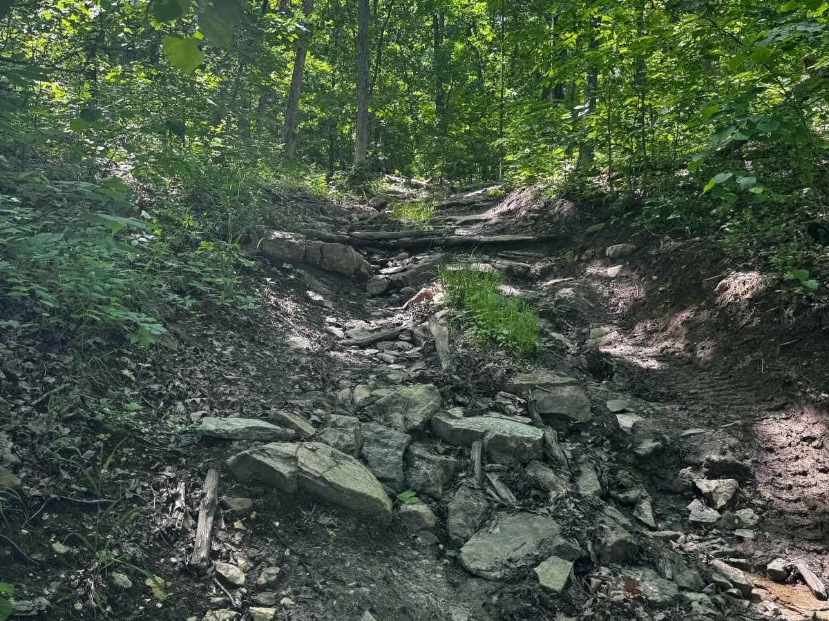 Big Stepper trail photo