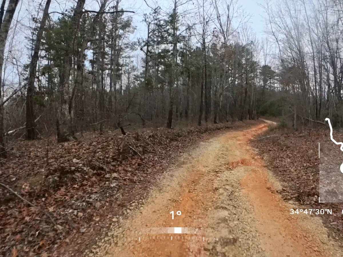 Deaden Timber Road - FS 825 photo 6