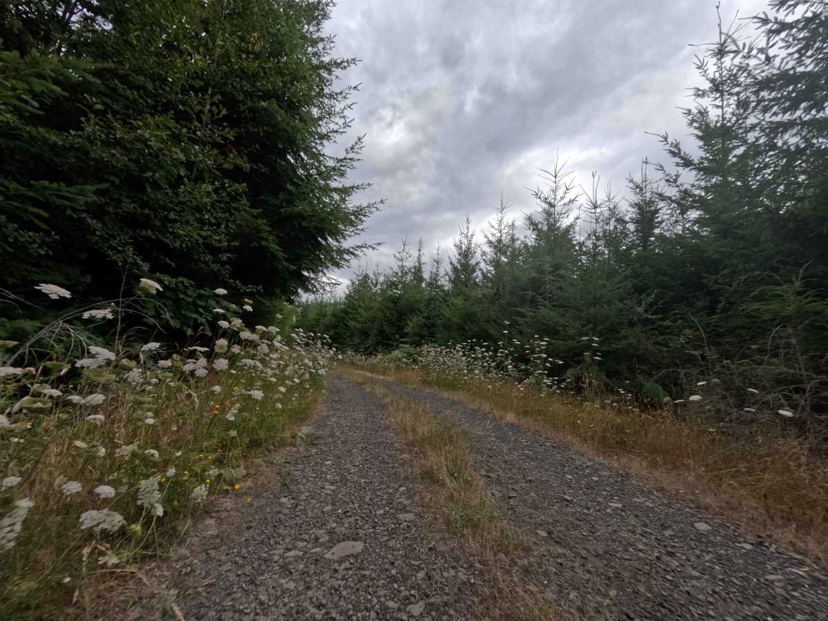 W-558 trail photo
