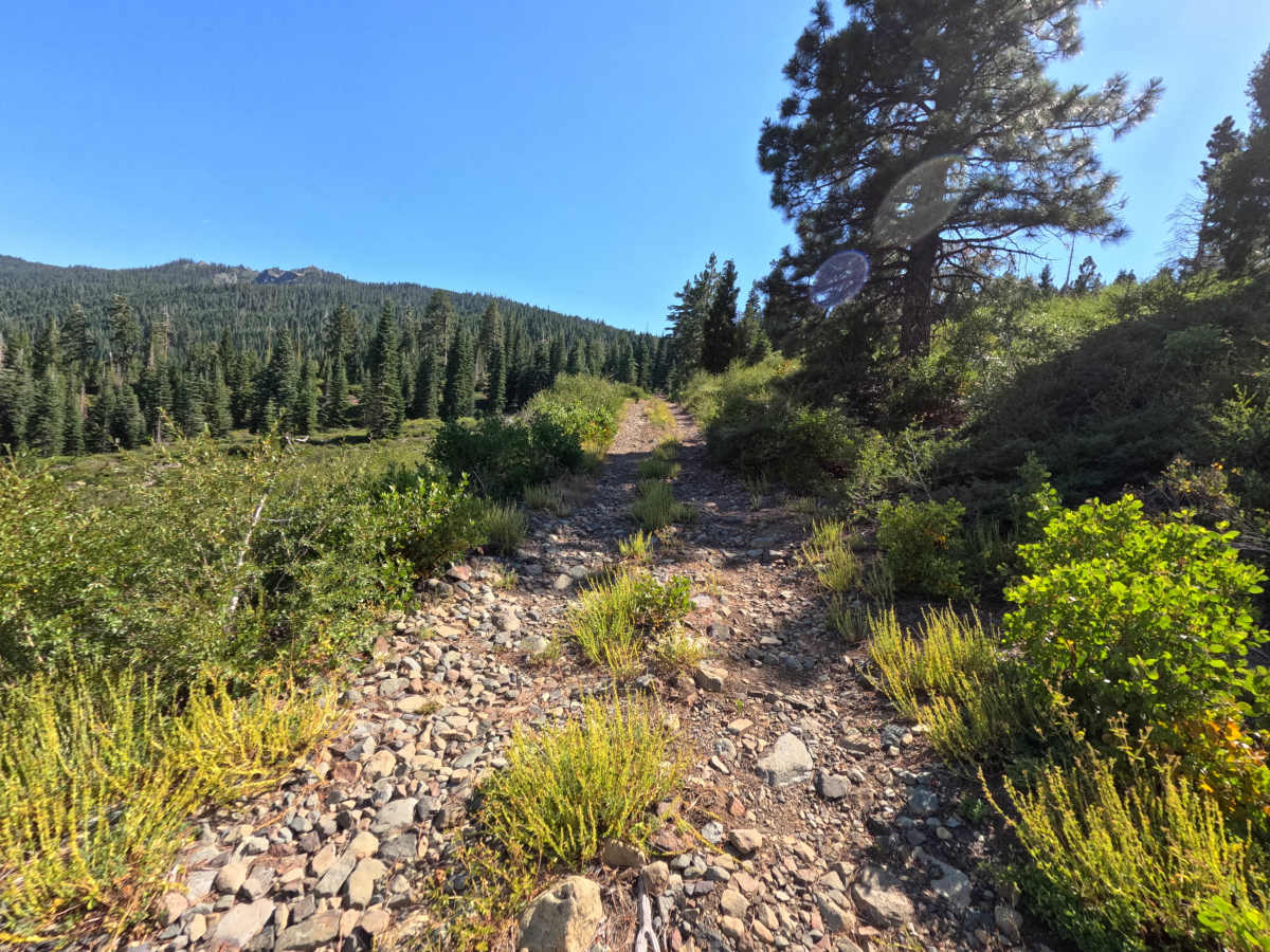 Mohawk Creek - FS 22N42 photo 5