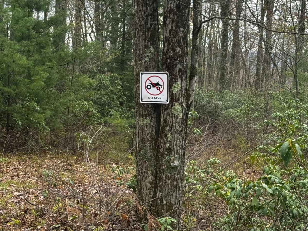 Naval Run Trail photo 2