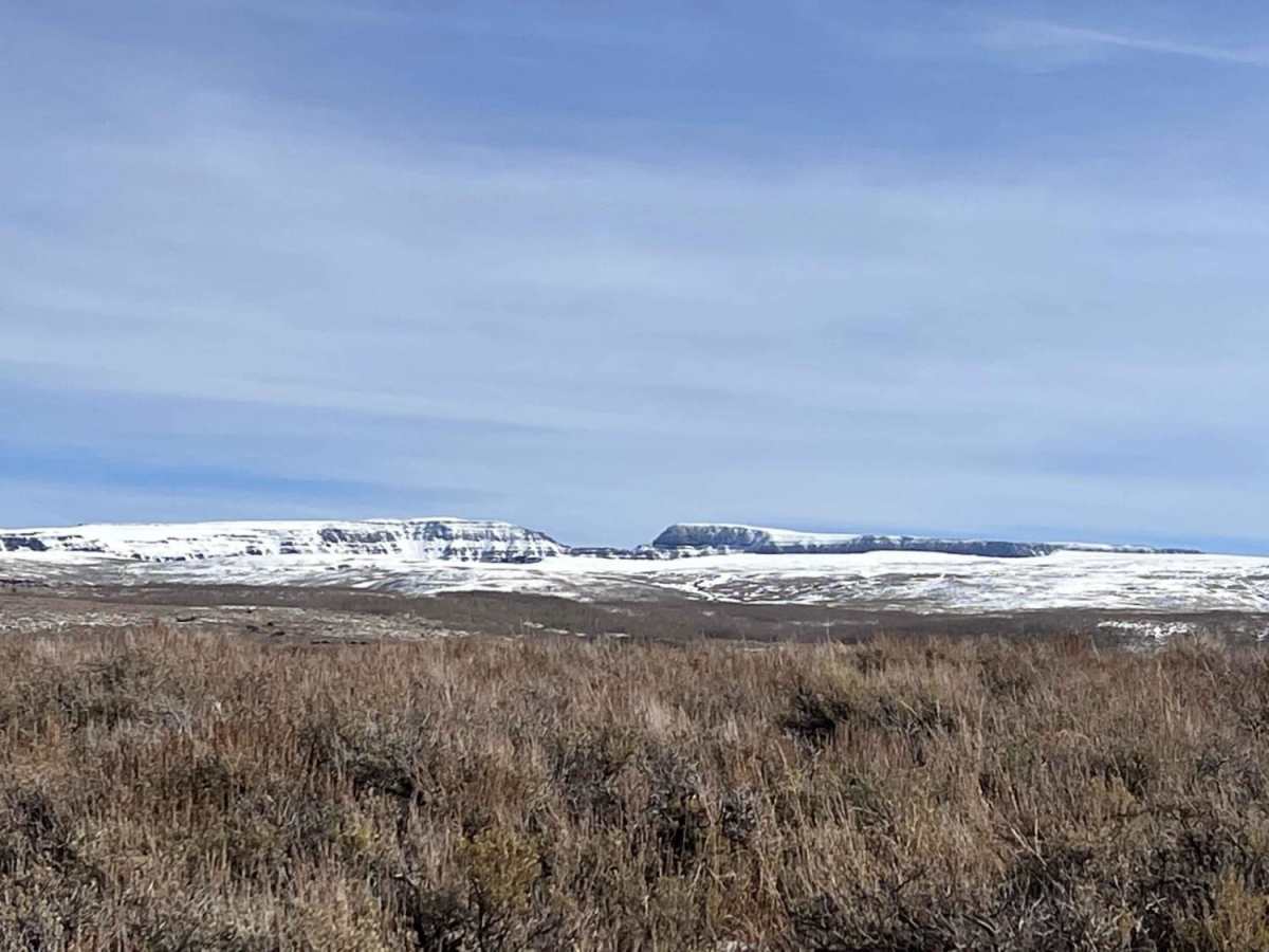 Fields of Sage trail photo