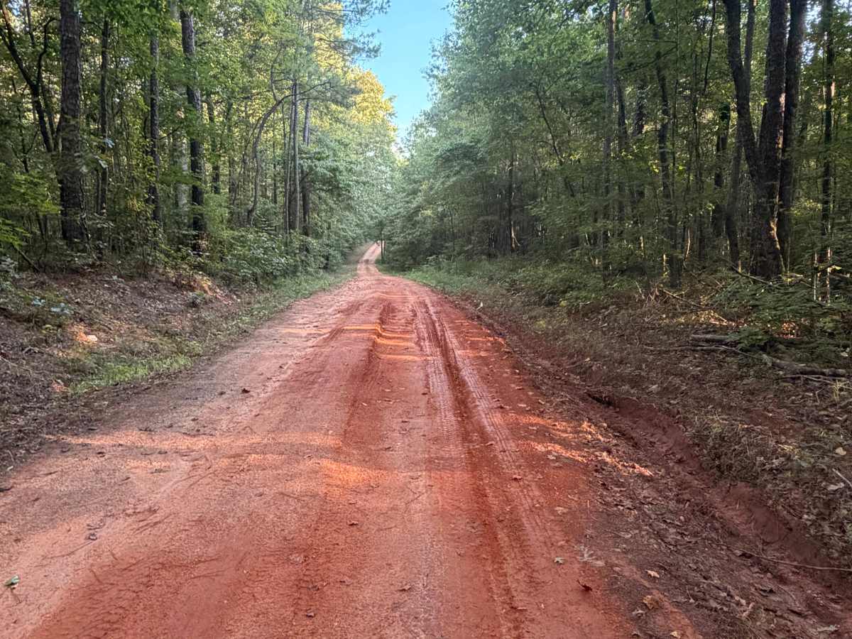 Turkey Trail photo 3