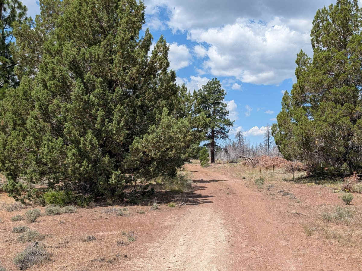 Porterfield Ranch photo 6