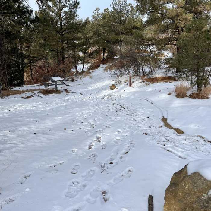 Near Kinnickinnick Trail