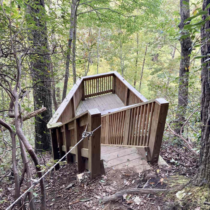 Near Beech Bottom Falls Near Beech Bottom Falls