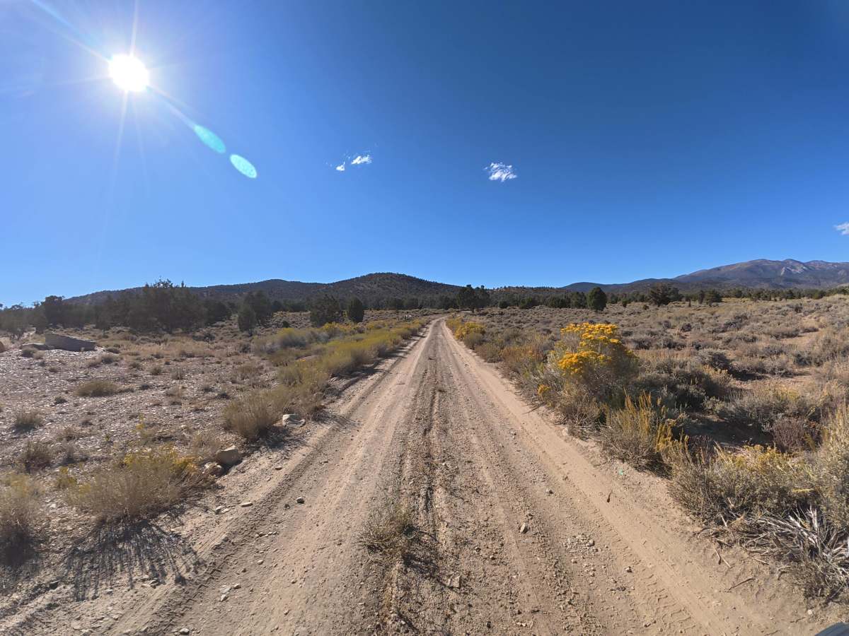 Carma Loop photo 4