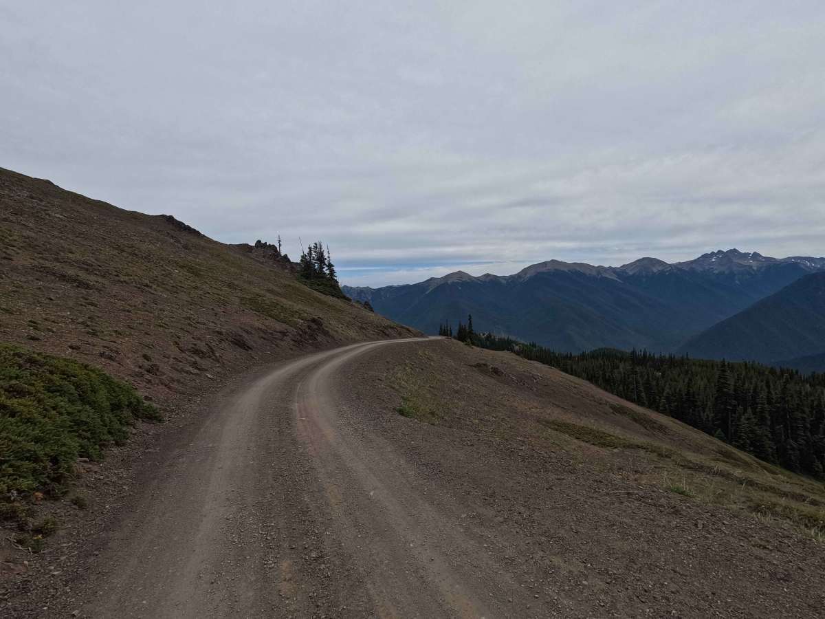 Deer Park Road photo 6