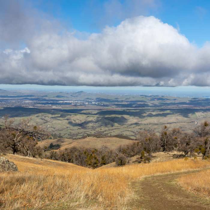 Near Springboard Trail