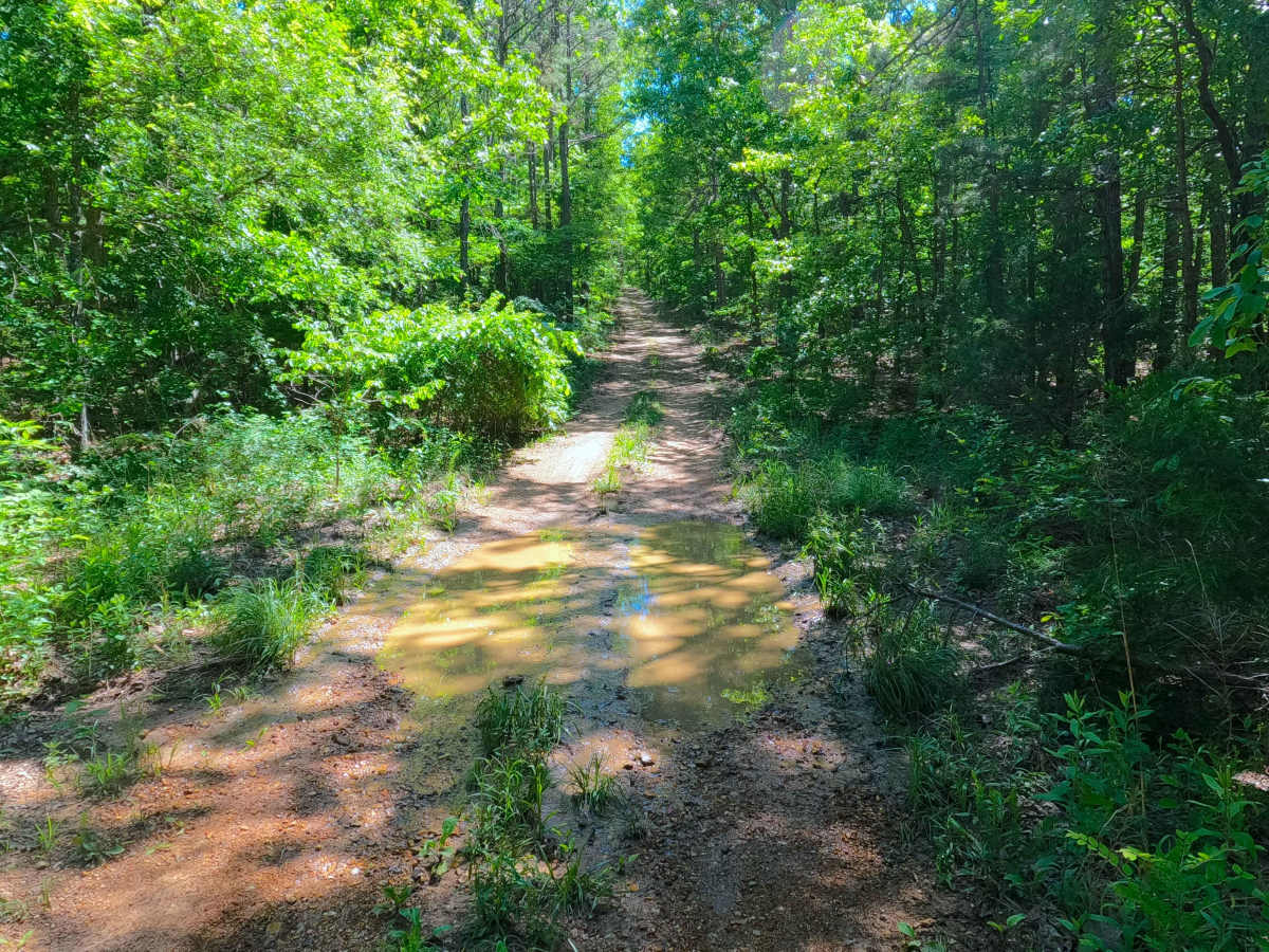 South Boundary - FS 3755 photo 3