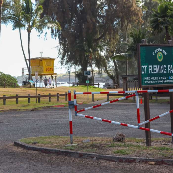 Near Kapalua Coastal Trail Near Kapalua Coastal Trail
