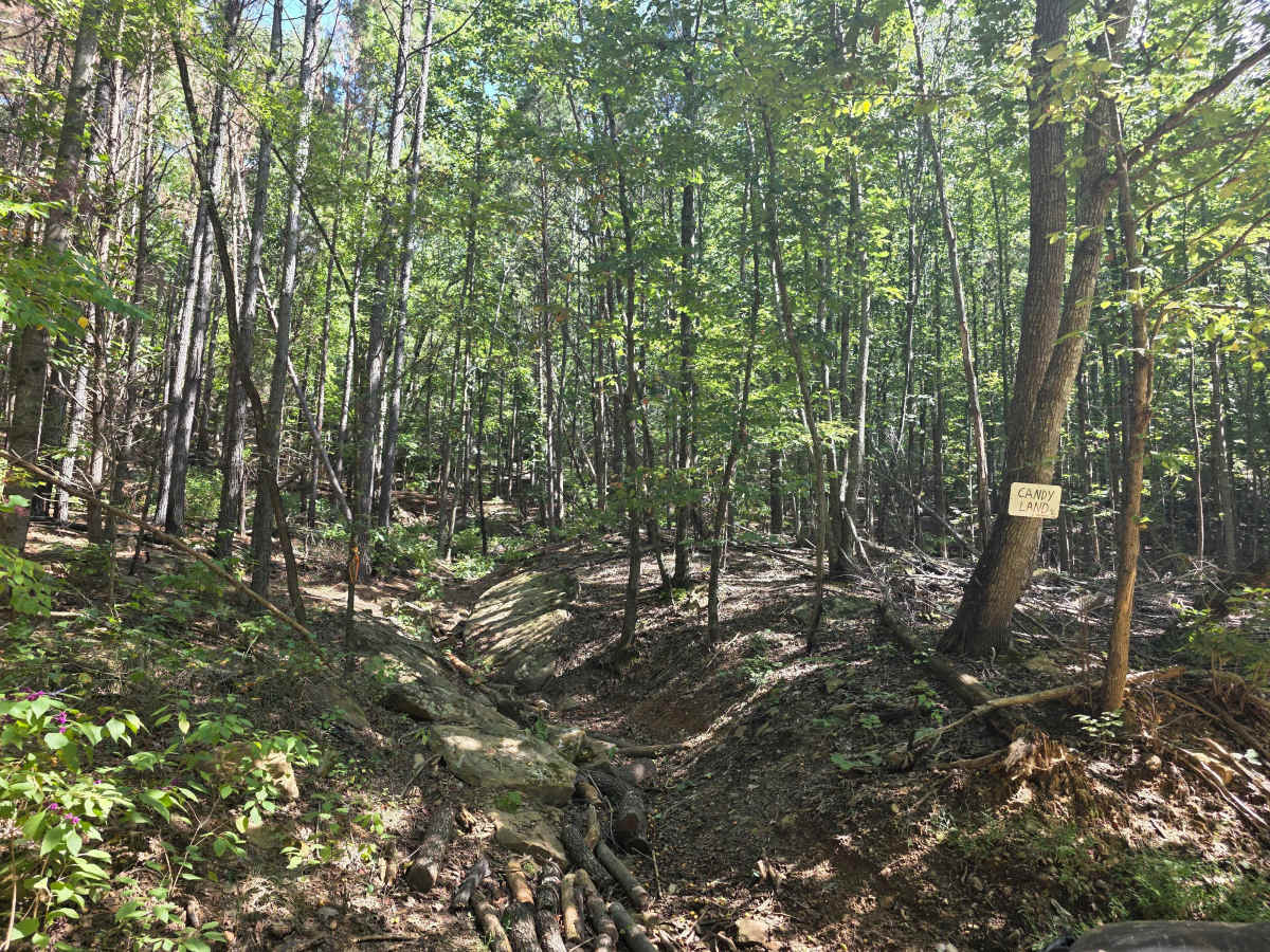 Candy Land trail photo