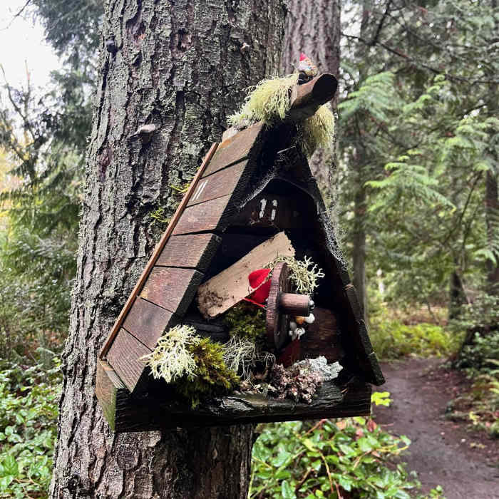 PNW Gnome Home #11 on Bluff trail. There used to be more than a dozen of these hidden on various Bainbridge Island trails, but only a handful like this one remain. Near Bluff Trail