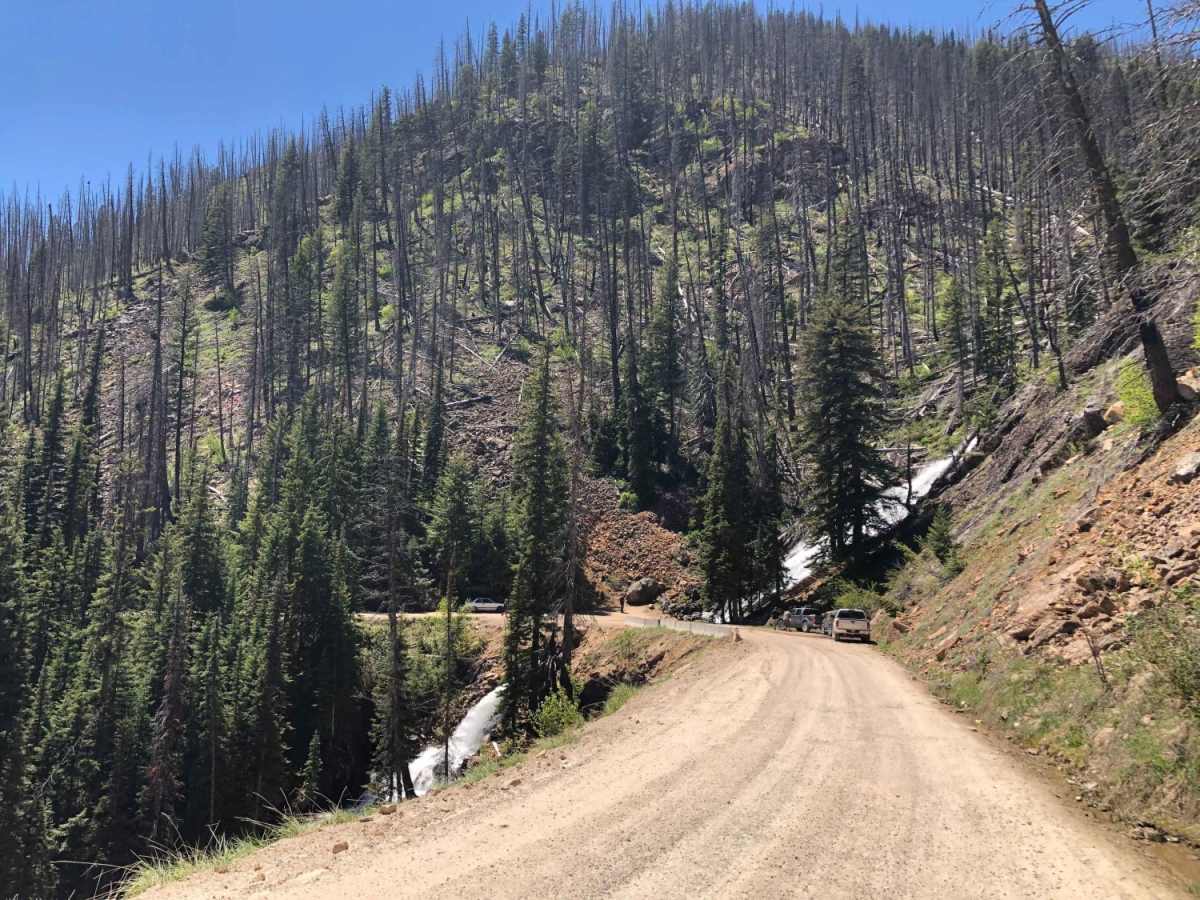 Skalkaho Highway / MT 38 photo 4