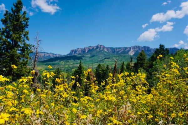 Cimarron Owl Creek Pass