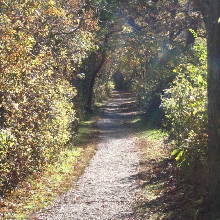 Near Coolidge Reservation Trail
