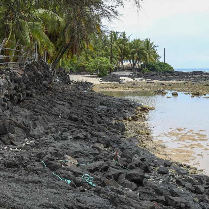 Near Honomalino Bay Trail Near Honomalino Bay Trail