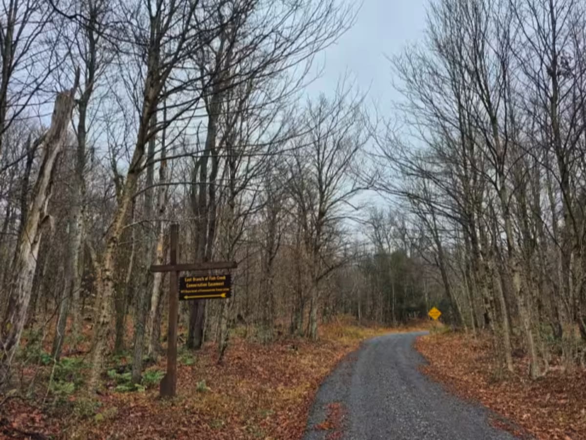 Fall Brook Easement Road photo 6