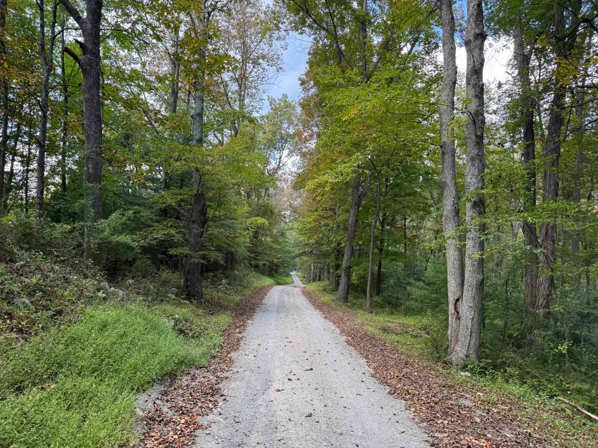 Caddo Access Road photo 2