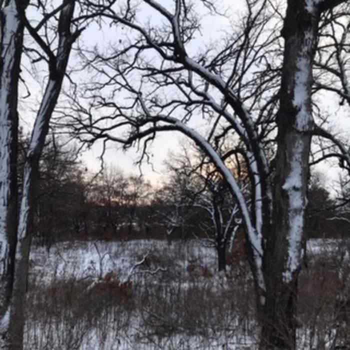 Morning winter outing Near Louisville Swamp 3-Mile Loop